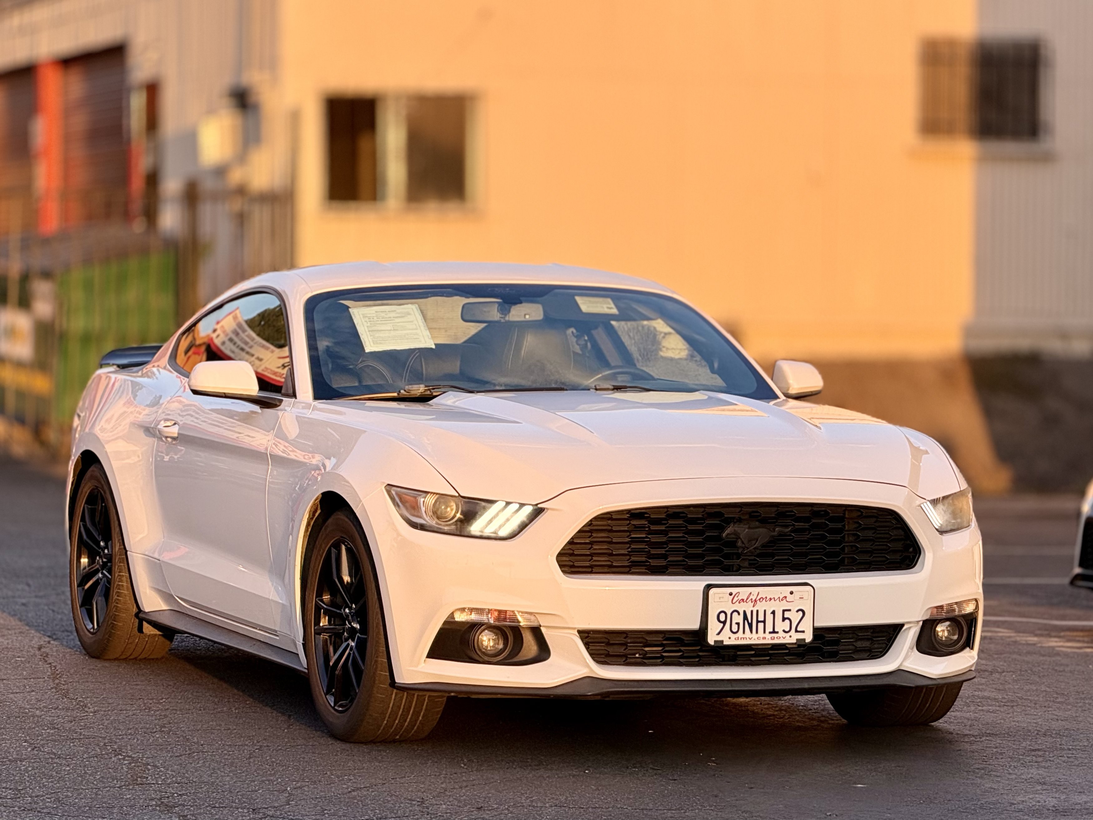 Used 2017 Ford Mustang Coupe RWD image 3