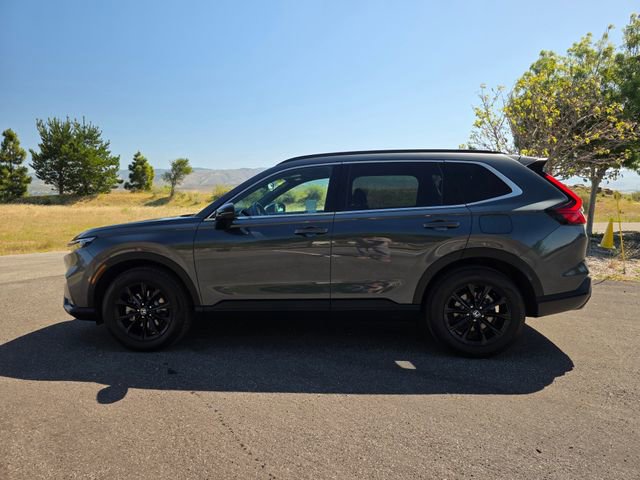 Certified 2024 Honda CR-V Sport image 12