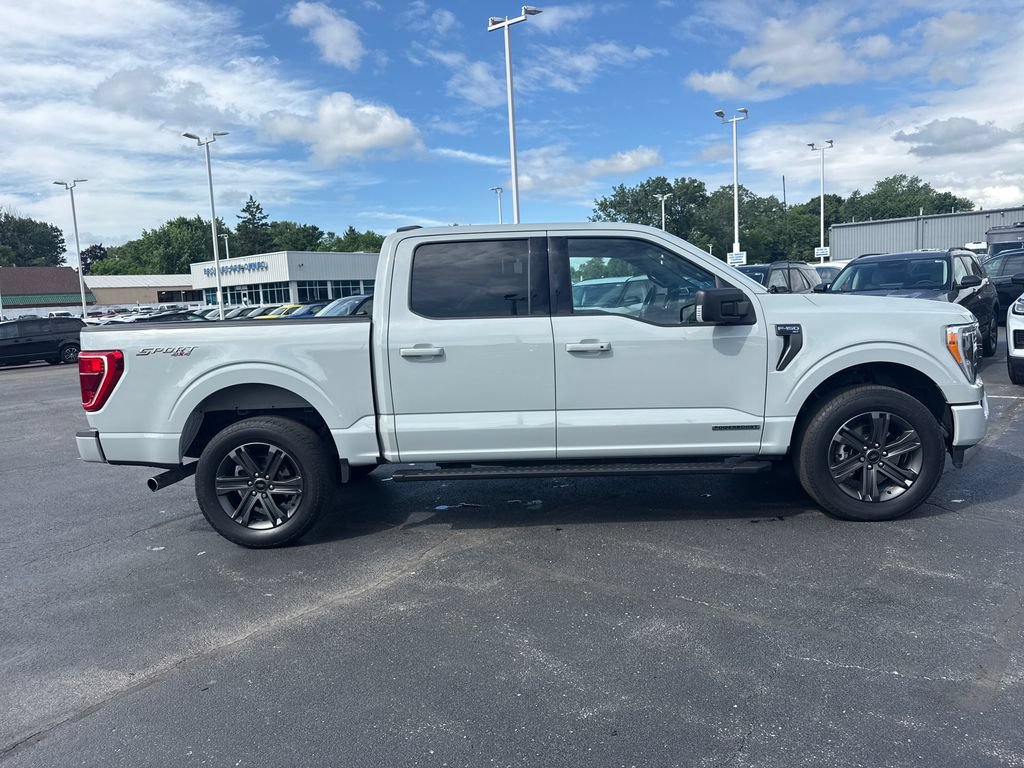 Used 2023 Ford F150 XLT w/ Equipment Group 302A High AWD/4WD image 6
