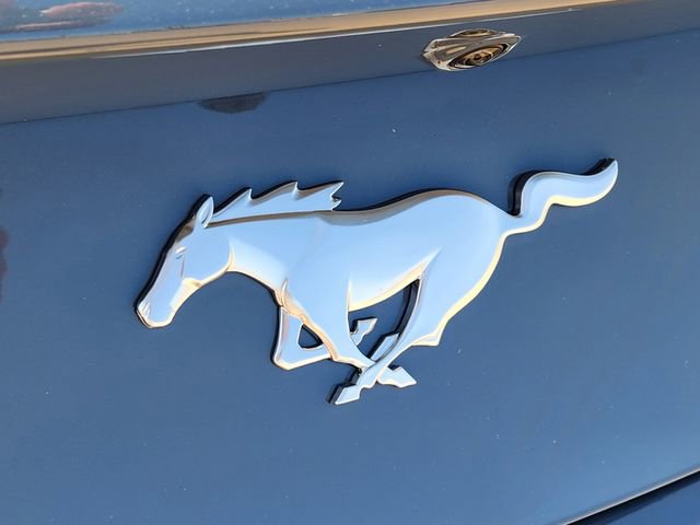 New 2025 Ford Mustang Coupe image 13