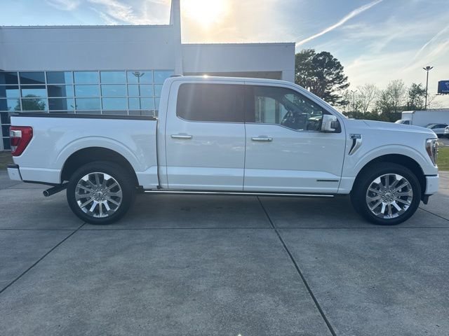 Used 2023 Ford F150 Limited image 8