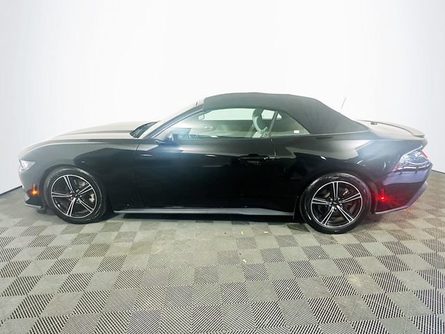Used 2024 Ford Mustang Premium RWD image 5