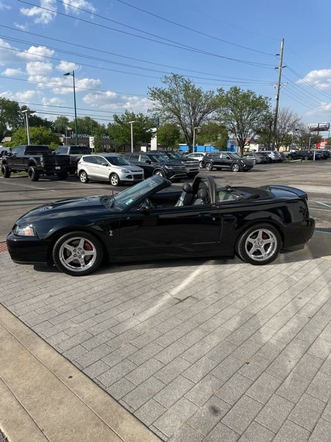 Used 2004 Ford Mustang Cobra RWD image 6