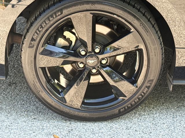 Certified 2023 Ford Mustang Premium w/ Equipment Group 201A image 9