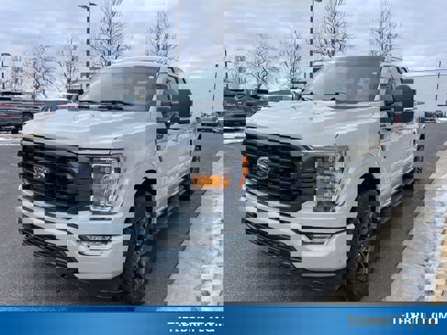 Used 2023 Ford F150 XLT w/ Equipment Group 302A High image 3