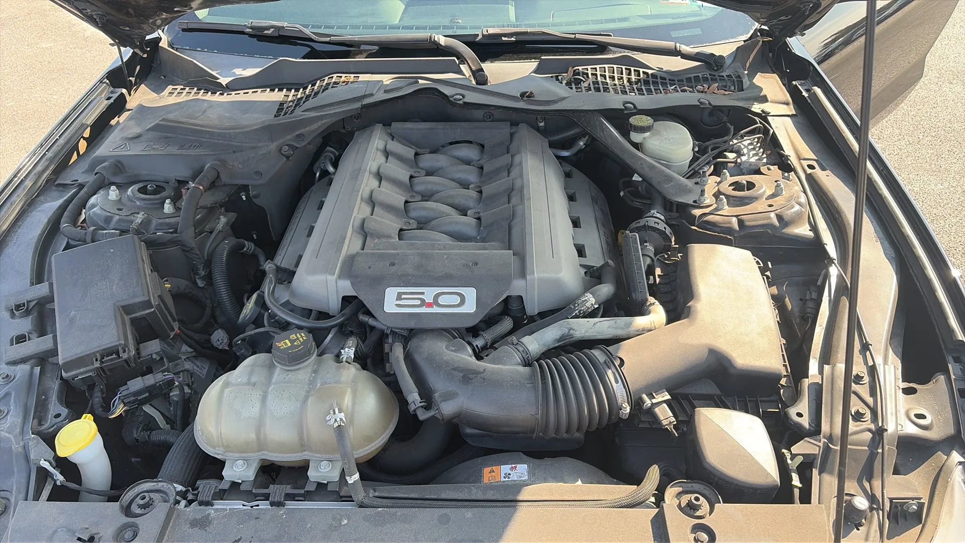 Used 2015 Ford Mustang GT Premium image 46