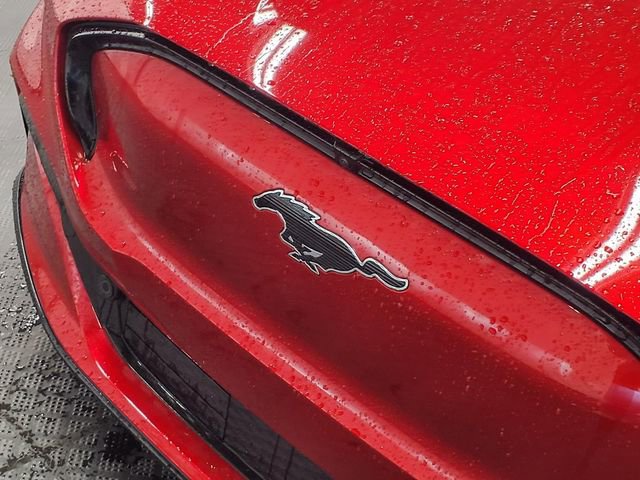 Used 2022 Ford Mustang Mach-E Premium image 14