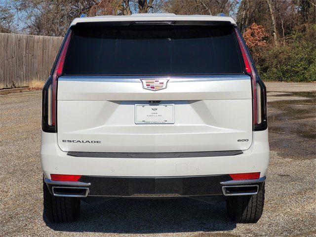 Used 2021 Cadillac Escalade Premium Luxury Platinum image 5