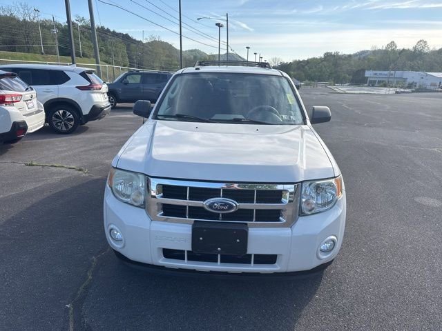 Used 2009 Ford Escape XLT AWD/4WD image 3