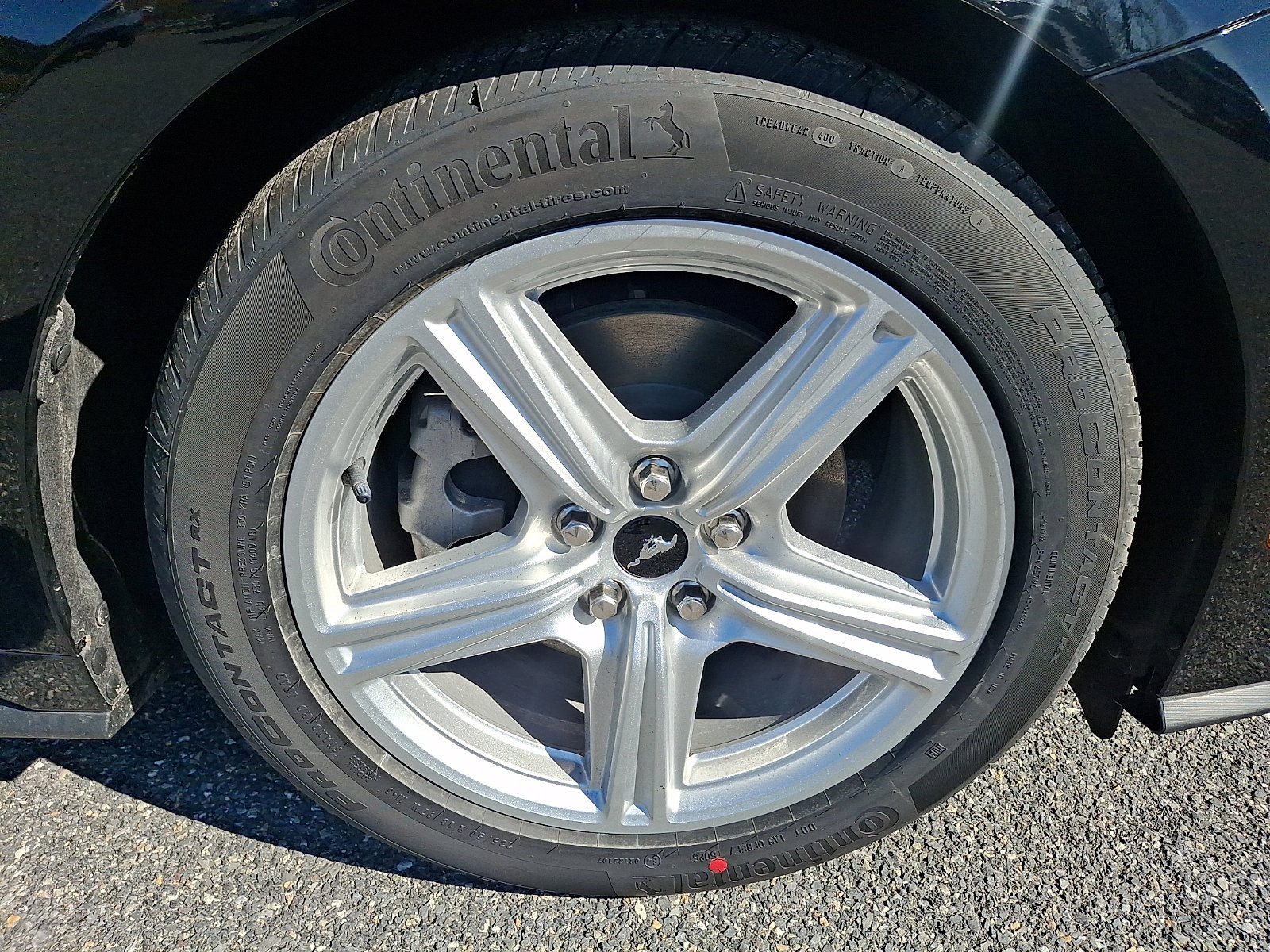 New 2026 Ford Mustang Coupe RWD image 5