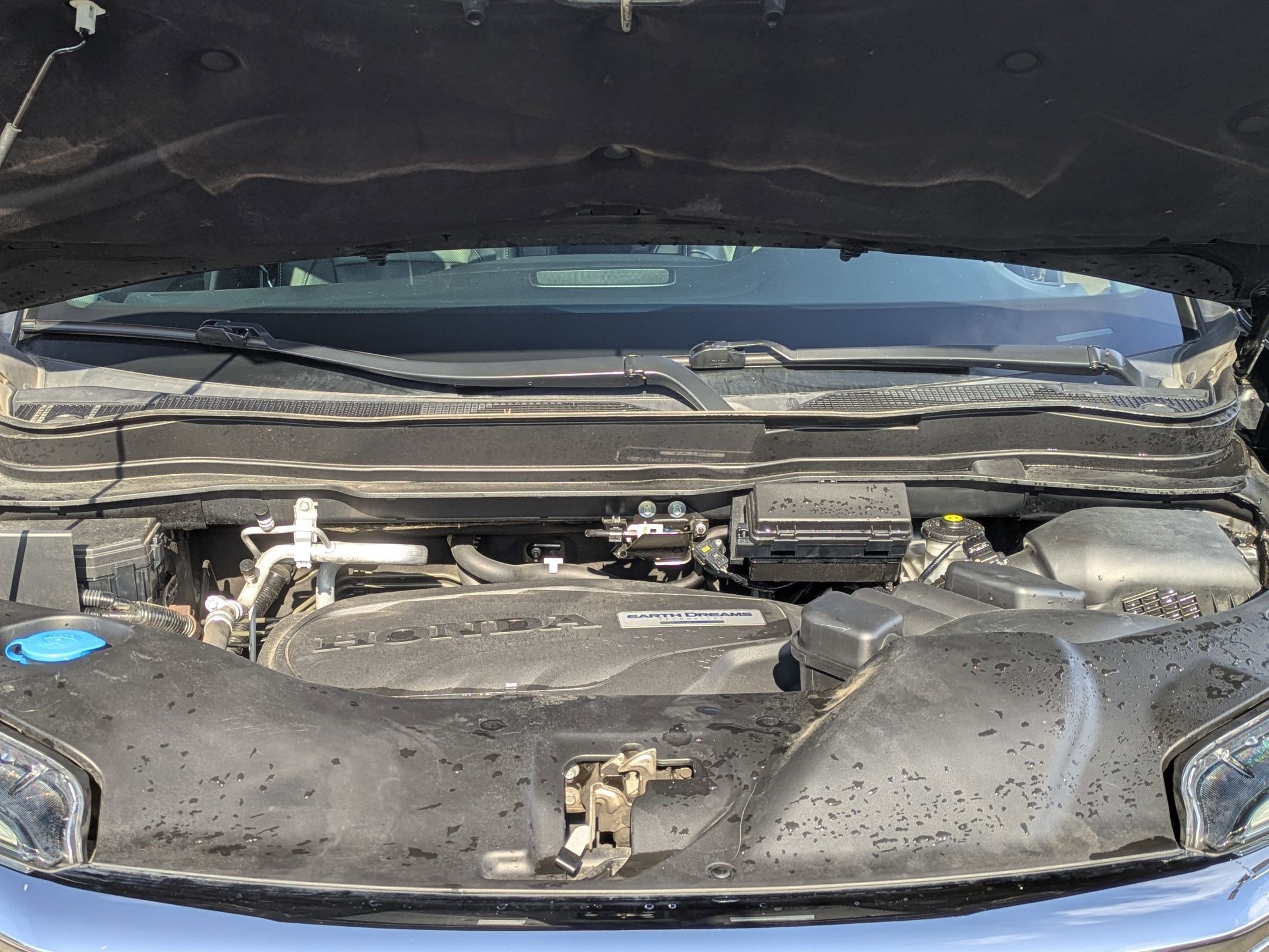 Used 2019 Honda Pilot Elite image 26