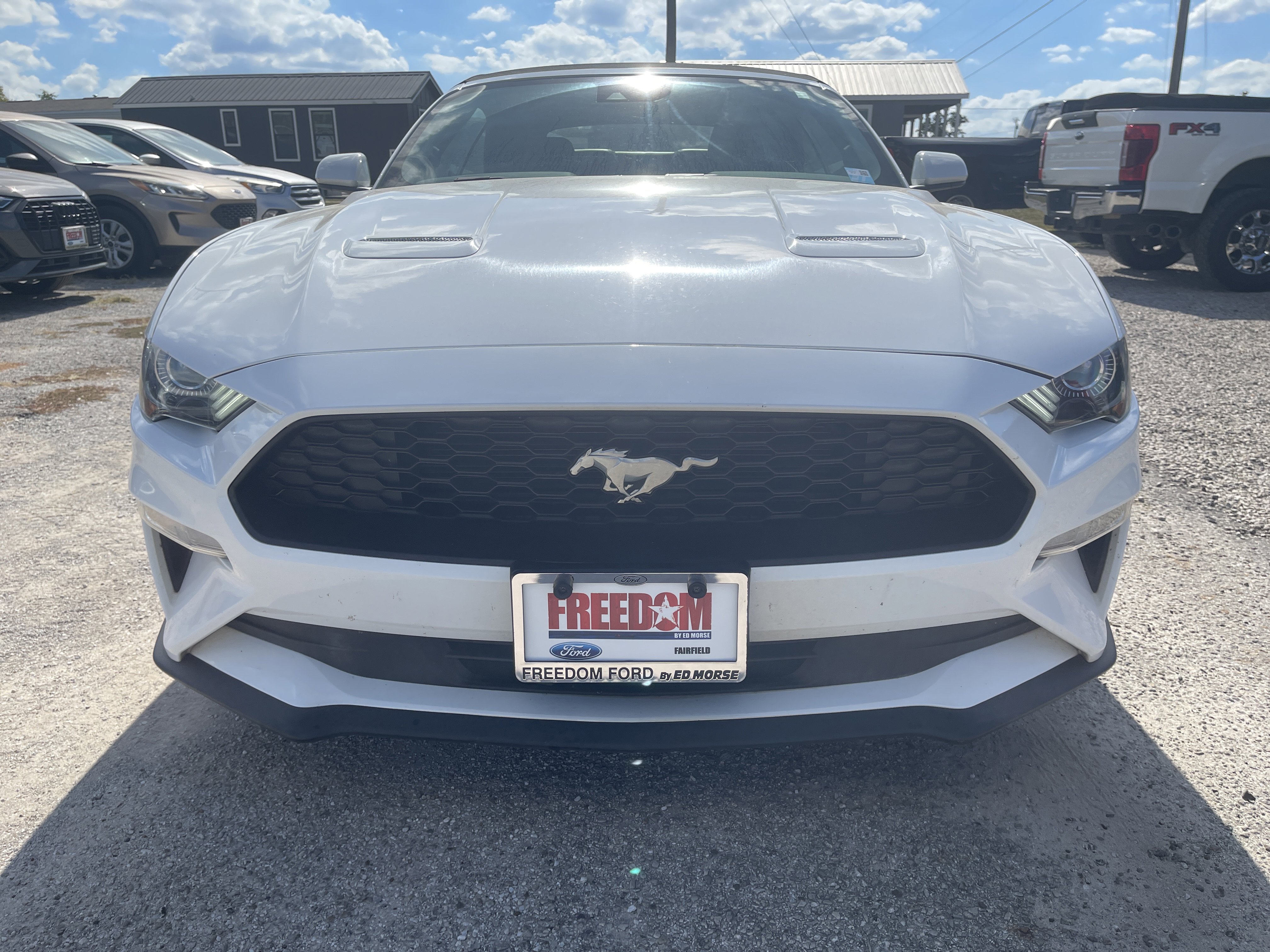 Used 2022 Ford Mustang Premium image 9