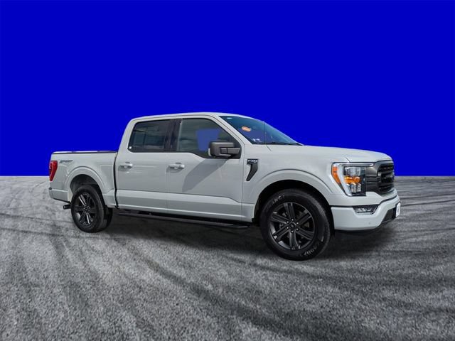 Certified 2023 Ford F150 XLT w/ Equipment Group 302A High RWD image 2