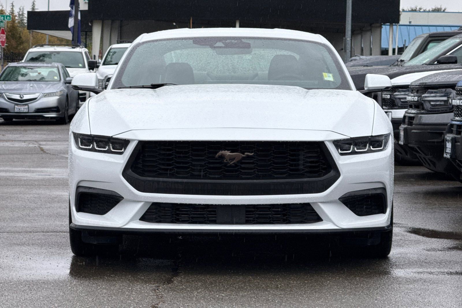 Used 2024 Ford Mustang Premium image 9