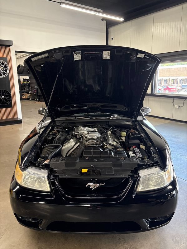 Used 1999 Ford Mustang Cobra RWD image 62