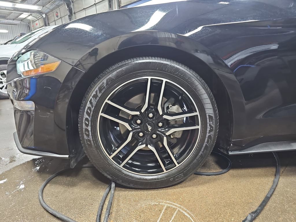 Used 2019 Ford Mustang Premium RWD image 32