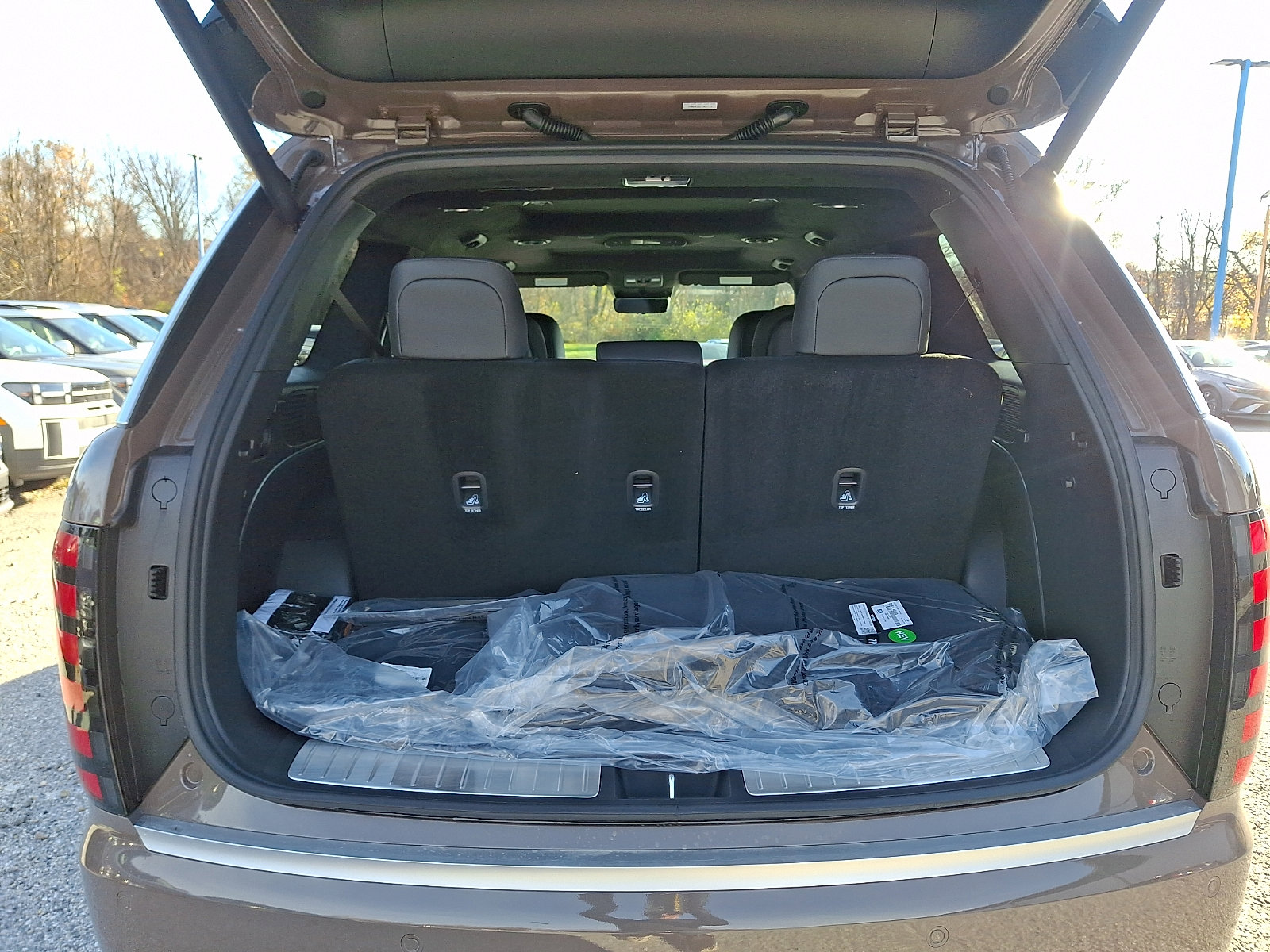 New 2026 Hyundai Palisade Calligraphy image 20