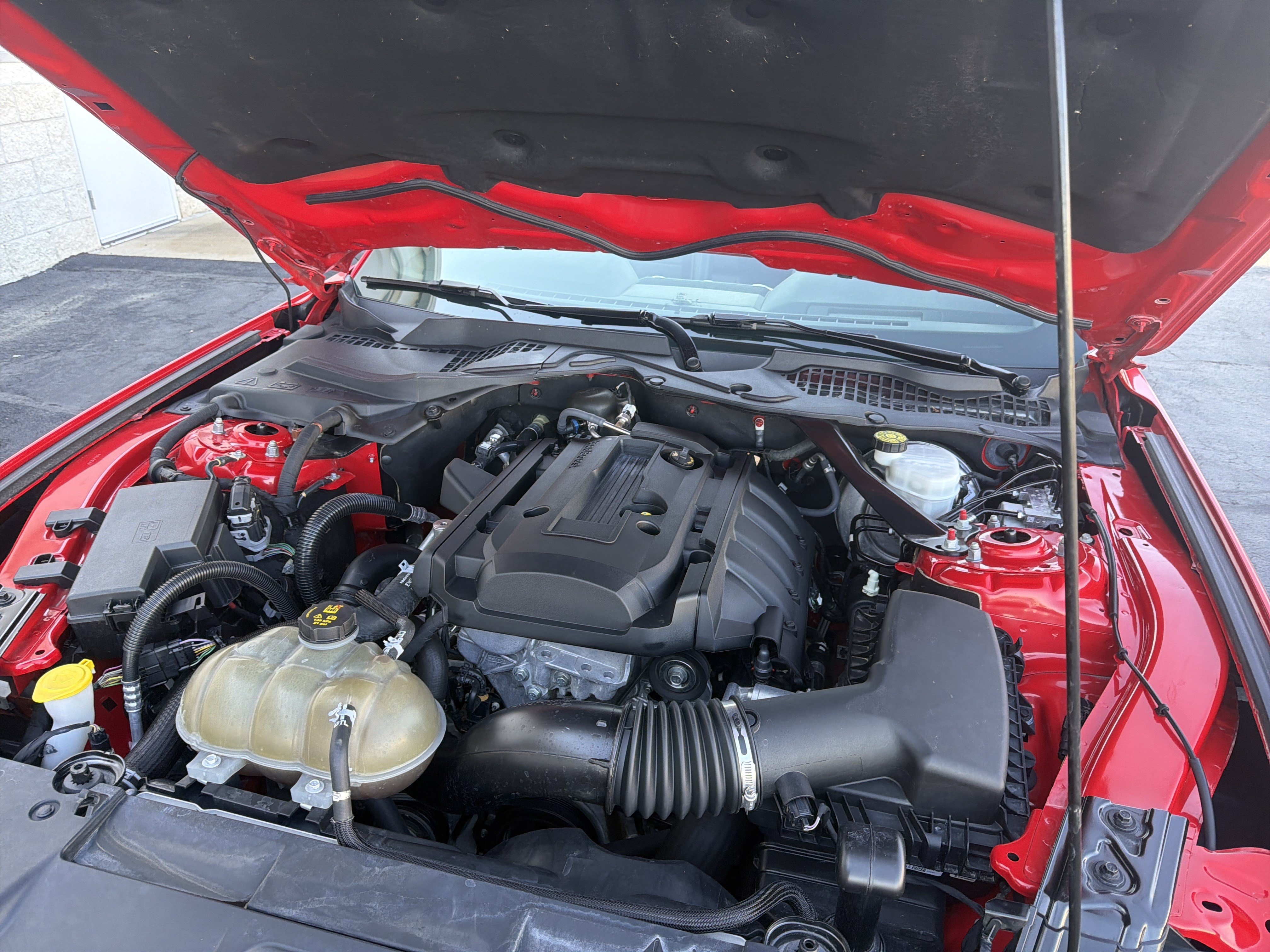 Used 2019 Ford Mustang Premium w/ Equipment Group 201A RWD image 57