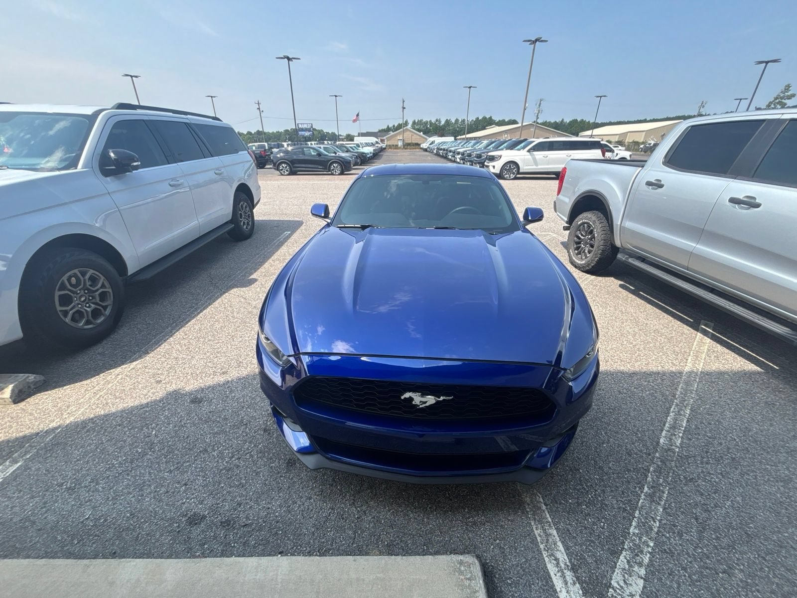 Used 2016 Ford Mustang Coupe w/ Equipment Group 051A RWD image 2