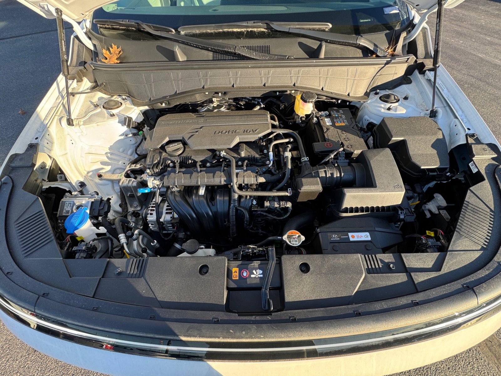 New 2025 Hyundai Kona SEL image 20