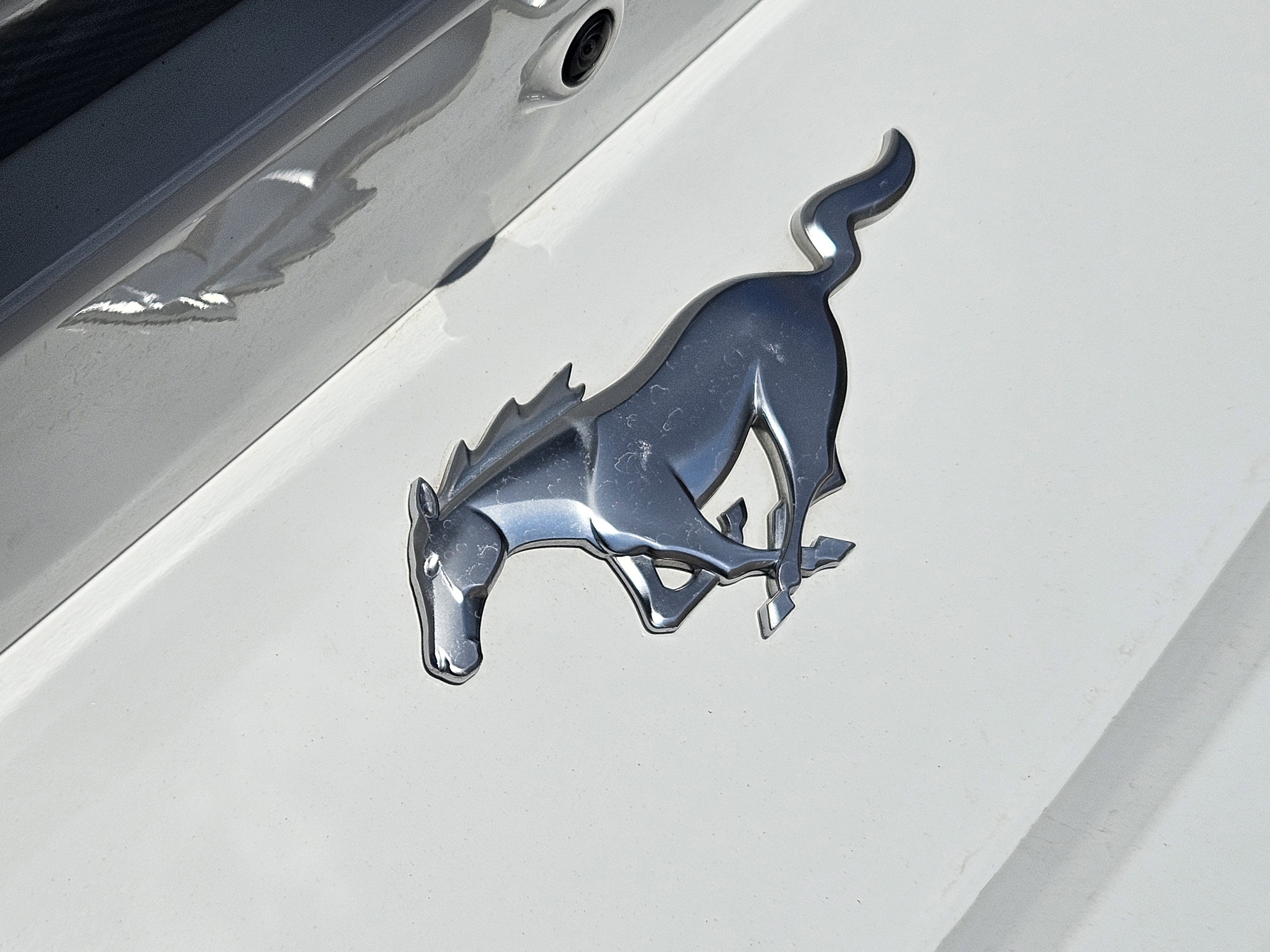 Used 2024 Ford Mustang Coupe image 8