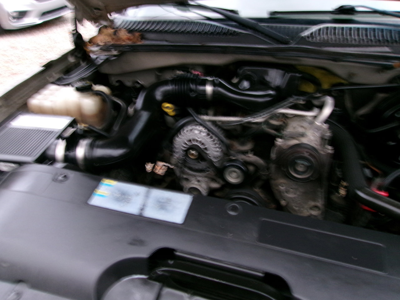 Used 2006 Chevrolet Silverado 1500 W/T image 14