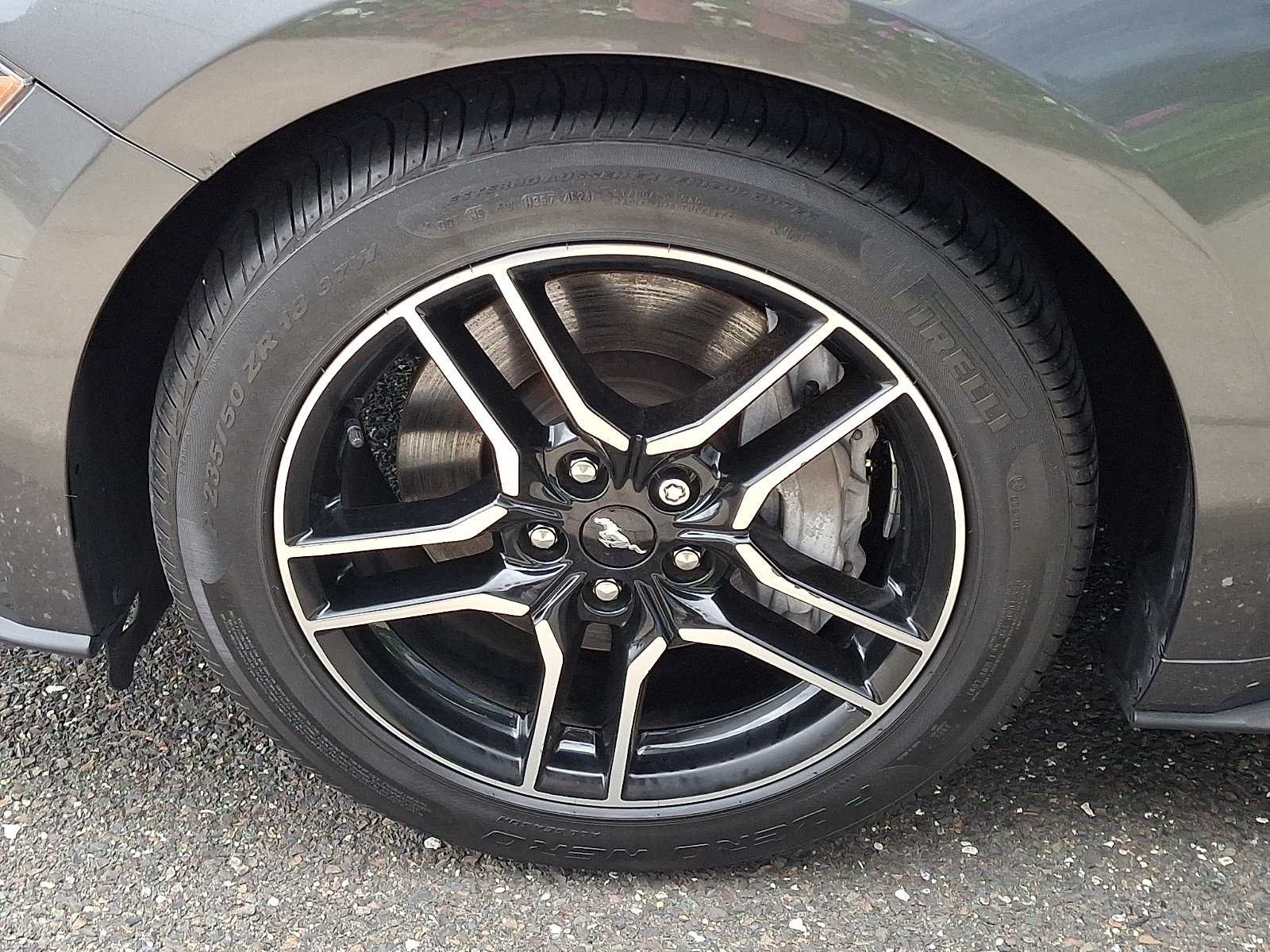 Certified 2019 Ford Mustang GT Premium w/ Equipment Group 401A RWD image 10