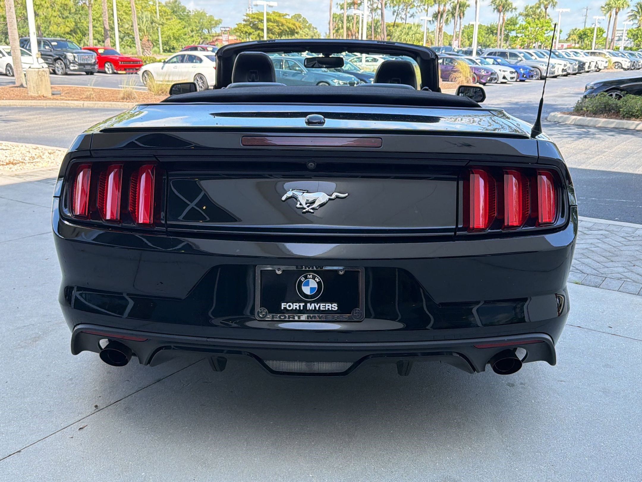 Used 2017 Ford Mustang Premium RWD image 9