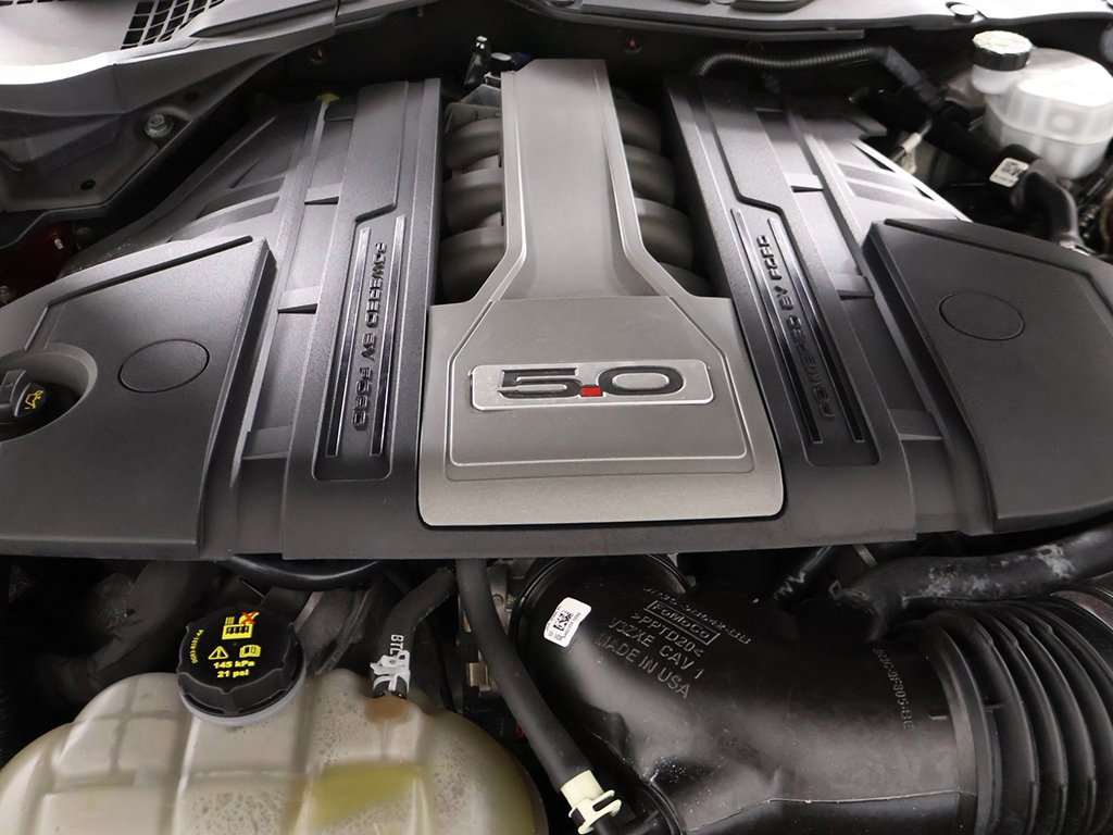 Used 2019 Ford Mustang GT Premium w/ Equipment Group 401A image 18