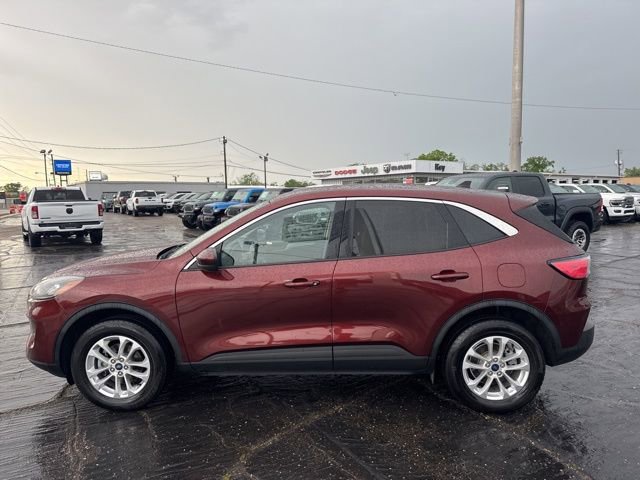 Used 2021 Ford Escape SE image 6