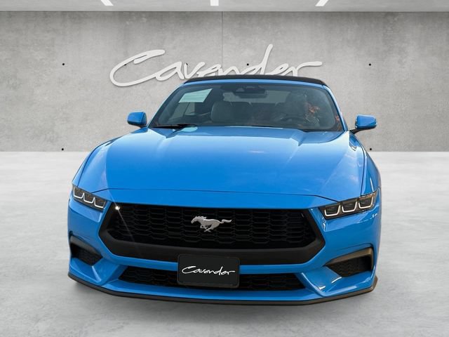 Used 2024 Ford Mustang Premium RWD image 19