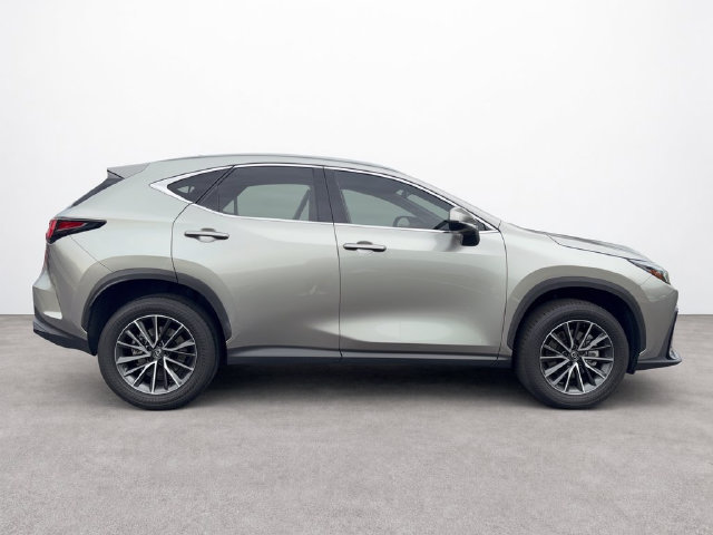 Used 2024 Lexus NX 350 AWD image 6