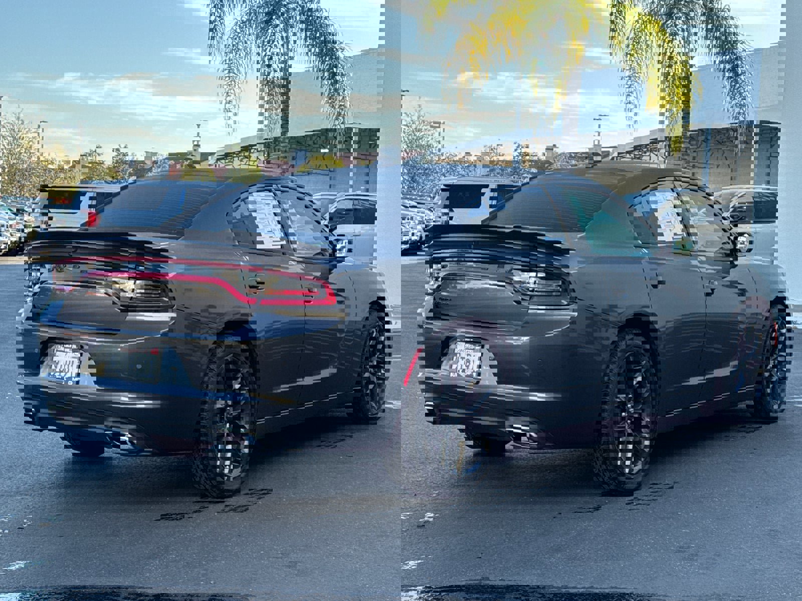 Used 2023 Dodge Charger SXT w/ Blacktop Package image 13