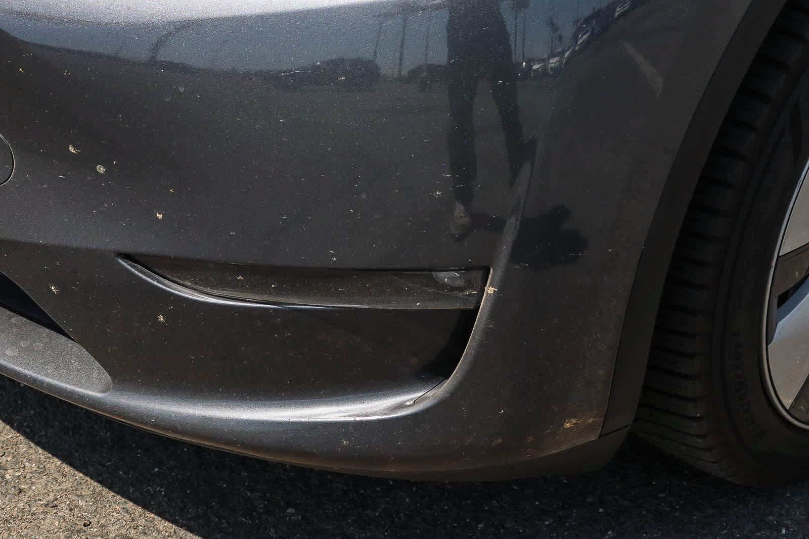 Used 2023 Tesla Model Y 2WD image 4