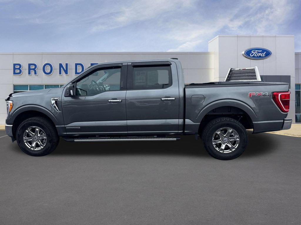 Used 2023 Ford F150 XLT w/ Equipment Group 302A High AWD/4WD image 1