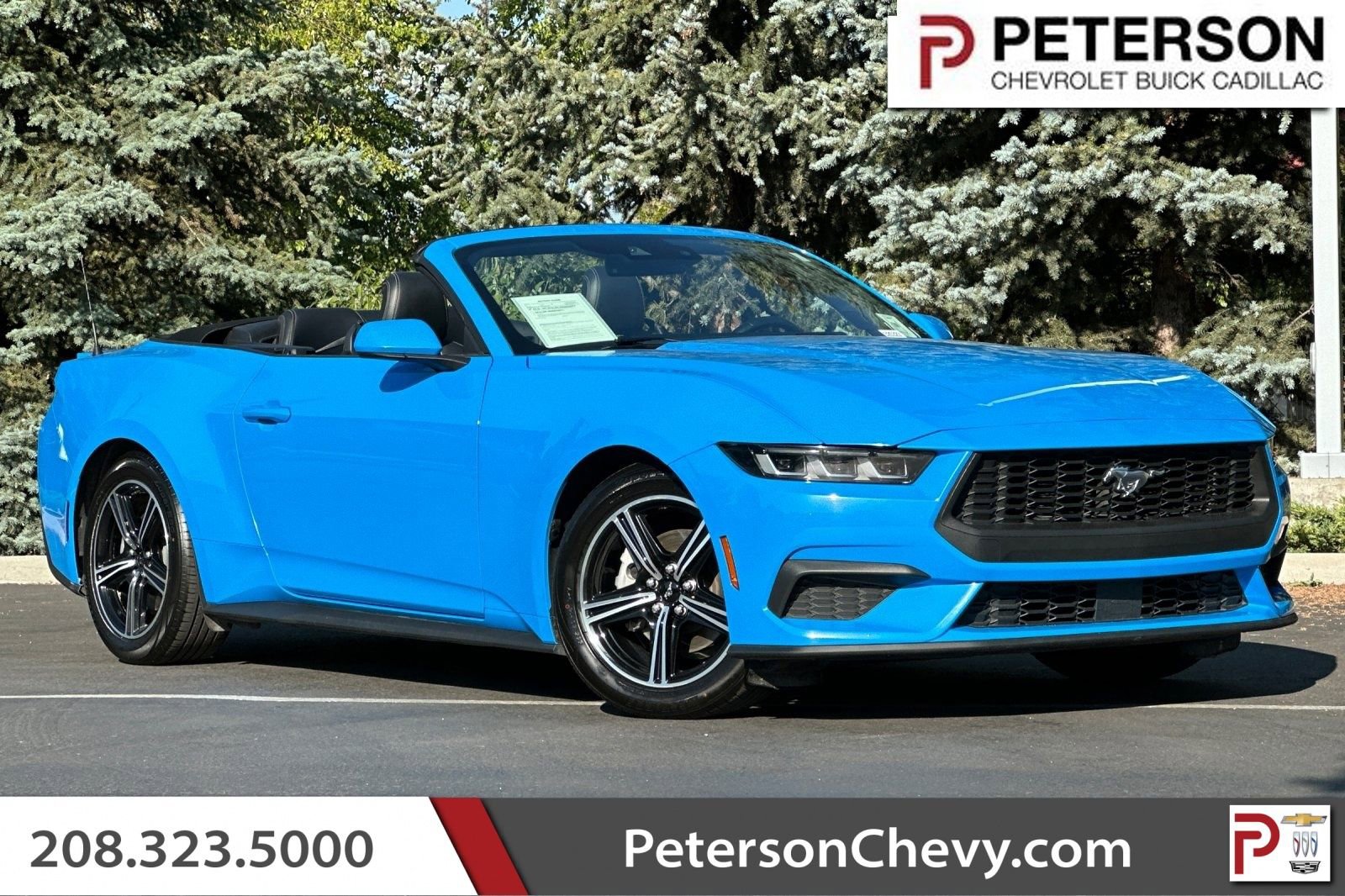 Used 2024 Ford Mustang Premium image 1