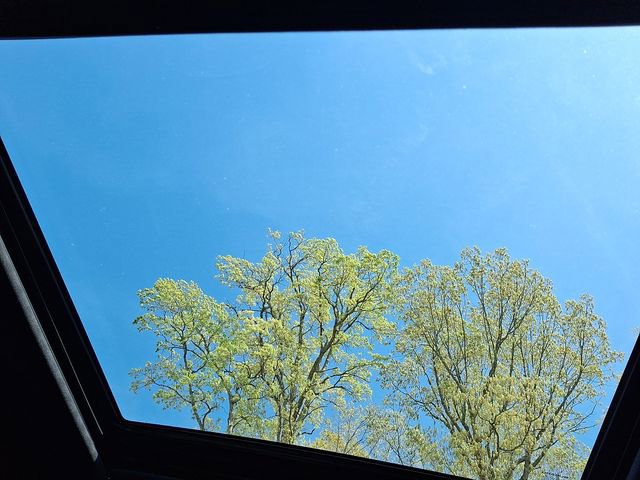 Certified 2026 Subaru Forester Limited w/ Premium/Limited Package image 14