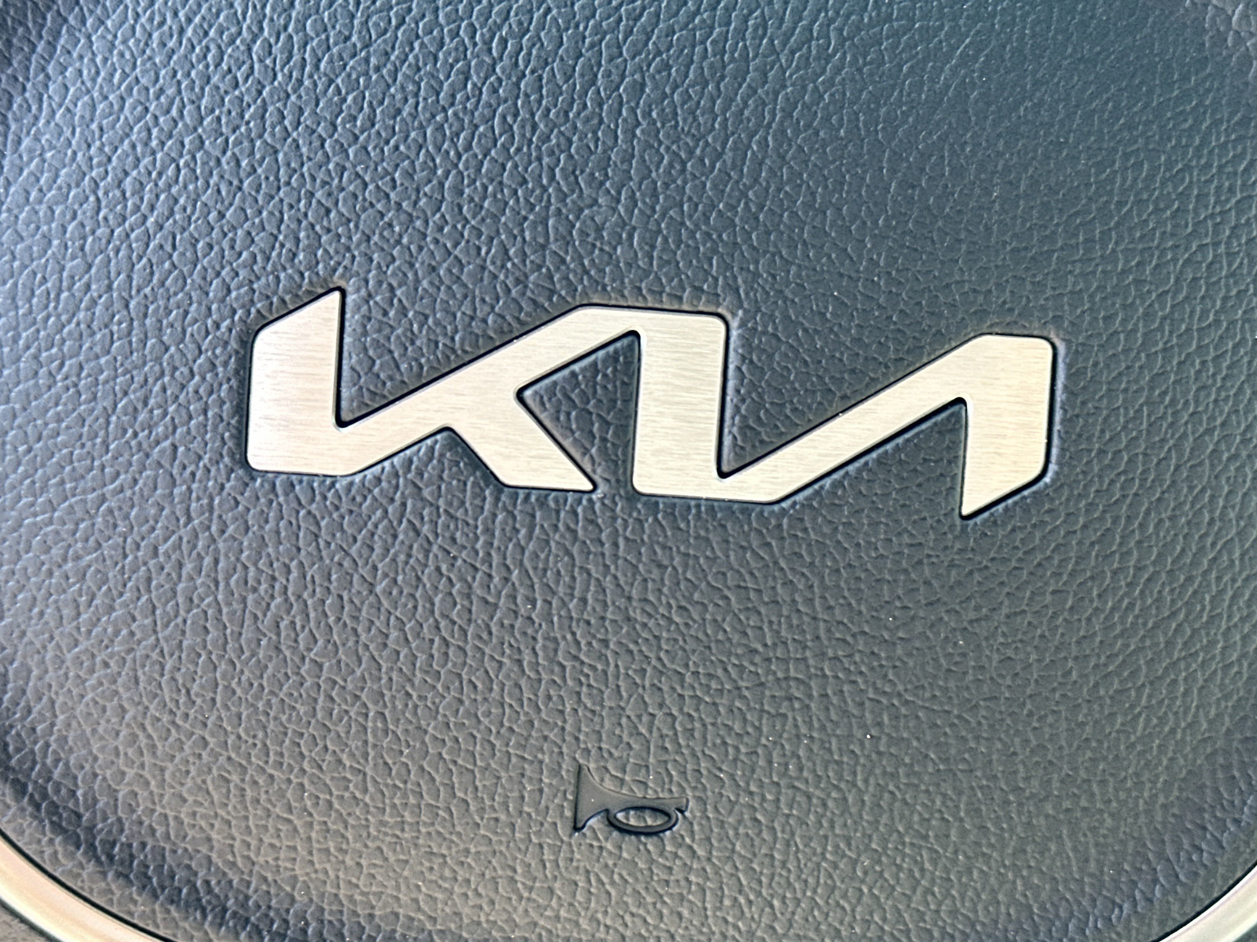 New 2025 Kia Carnival SX Prestige image 17