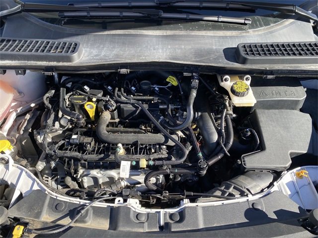 Used 2019 Ford Escape SEL image 28