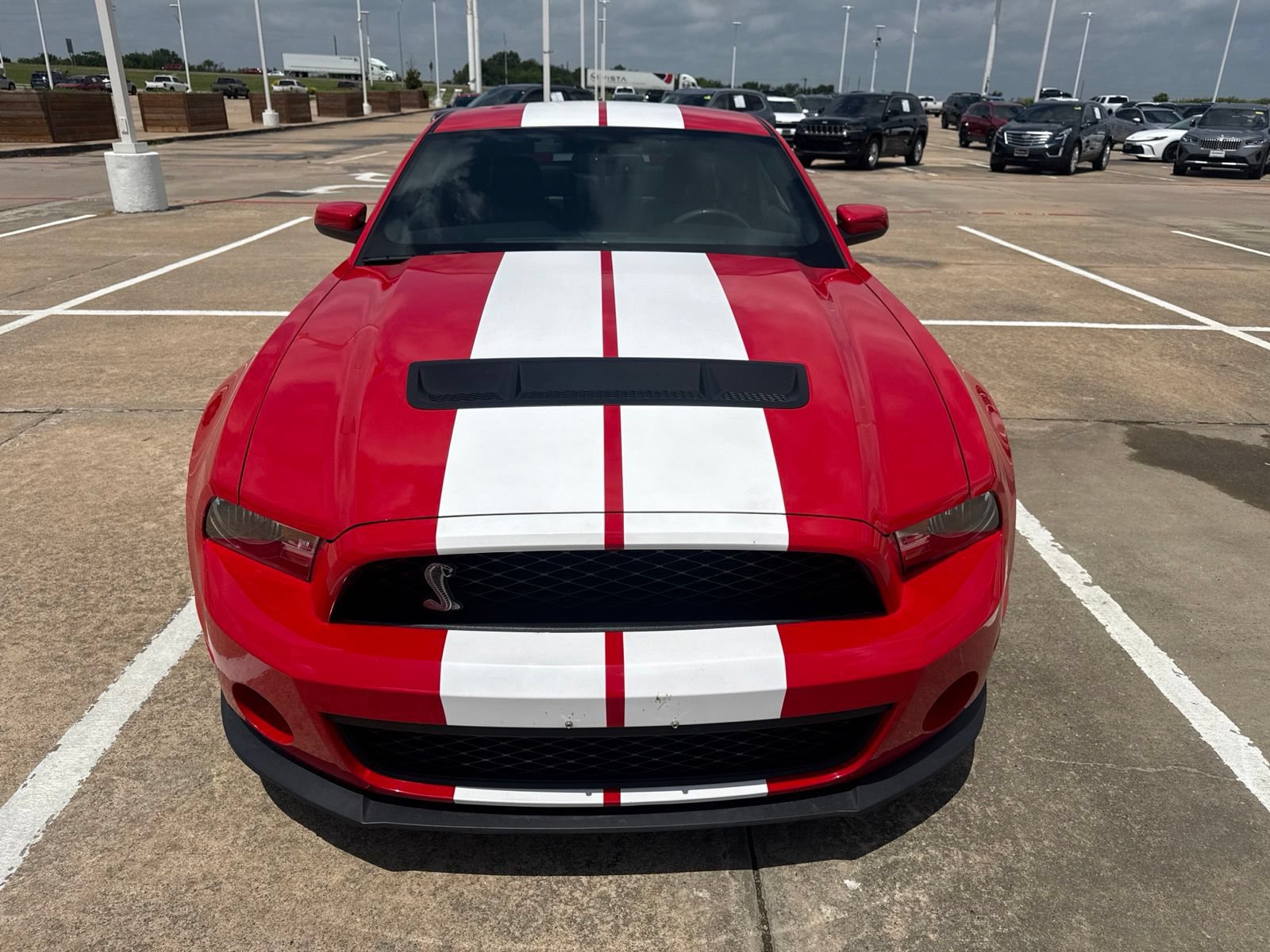 Used 2010 Ford Mustang Shelby GT500 RWD image 8