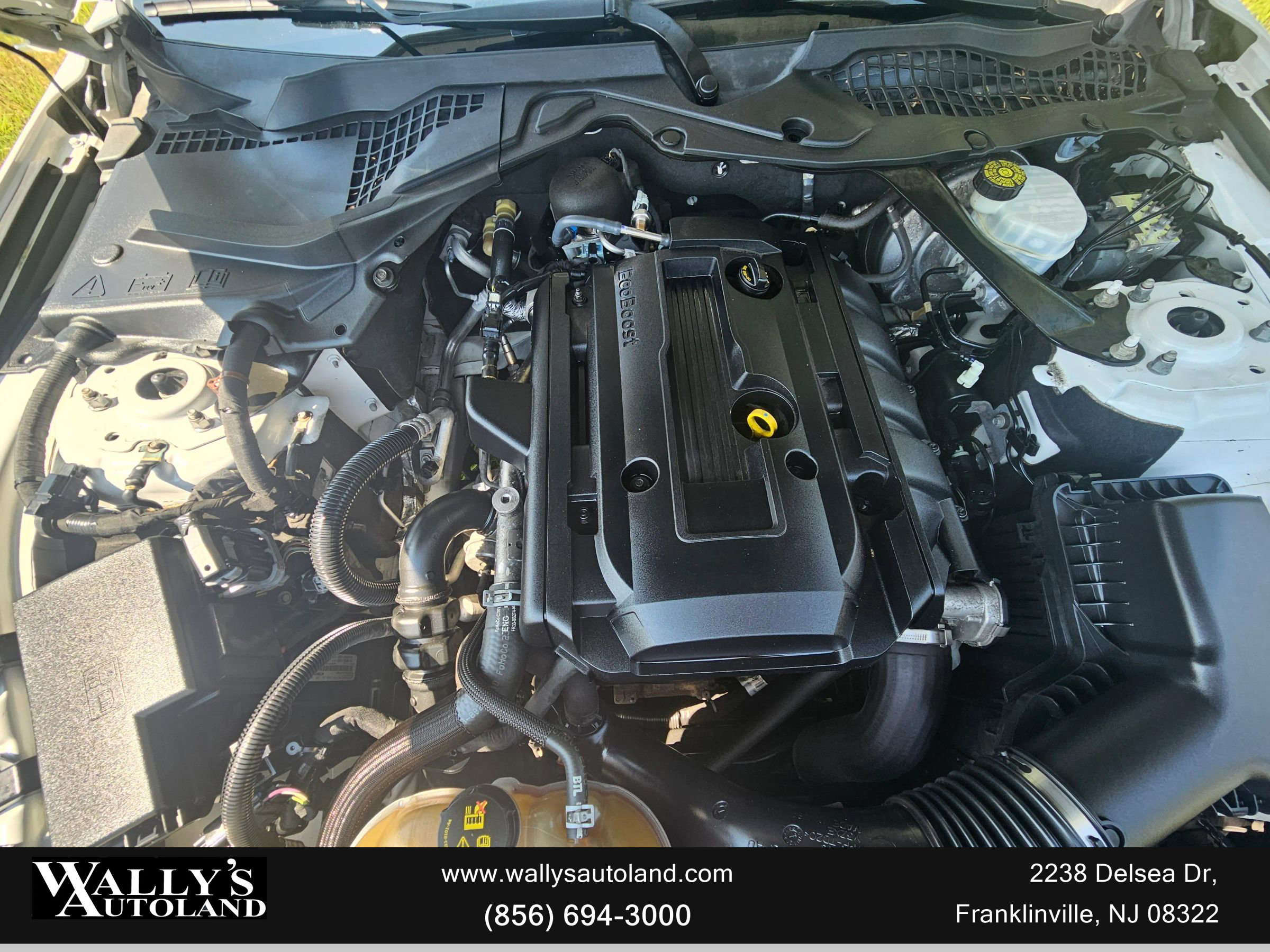 Used 2019 Ford Mustang Convertible image 14