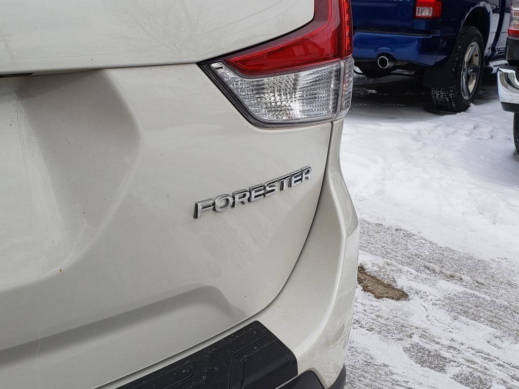 Used 2023 Subaru Forester Premium image 13