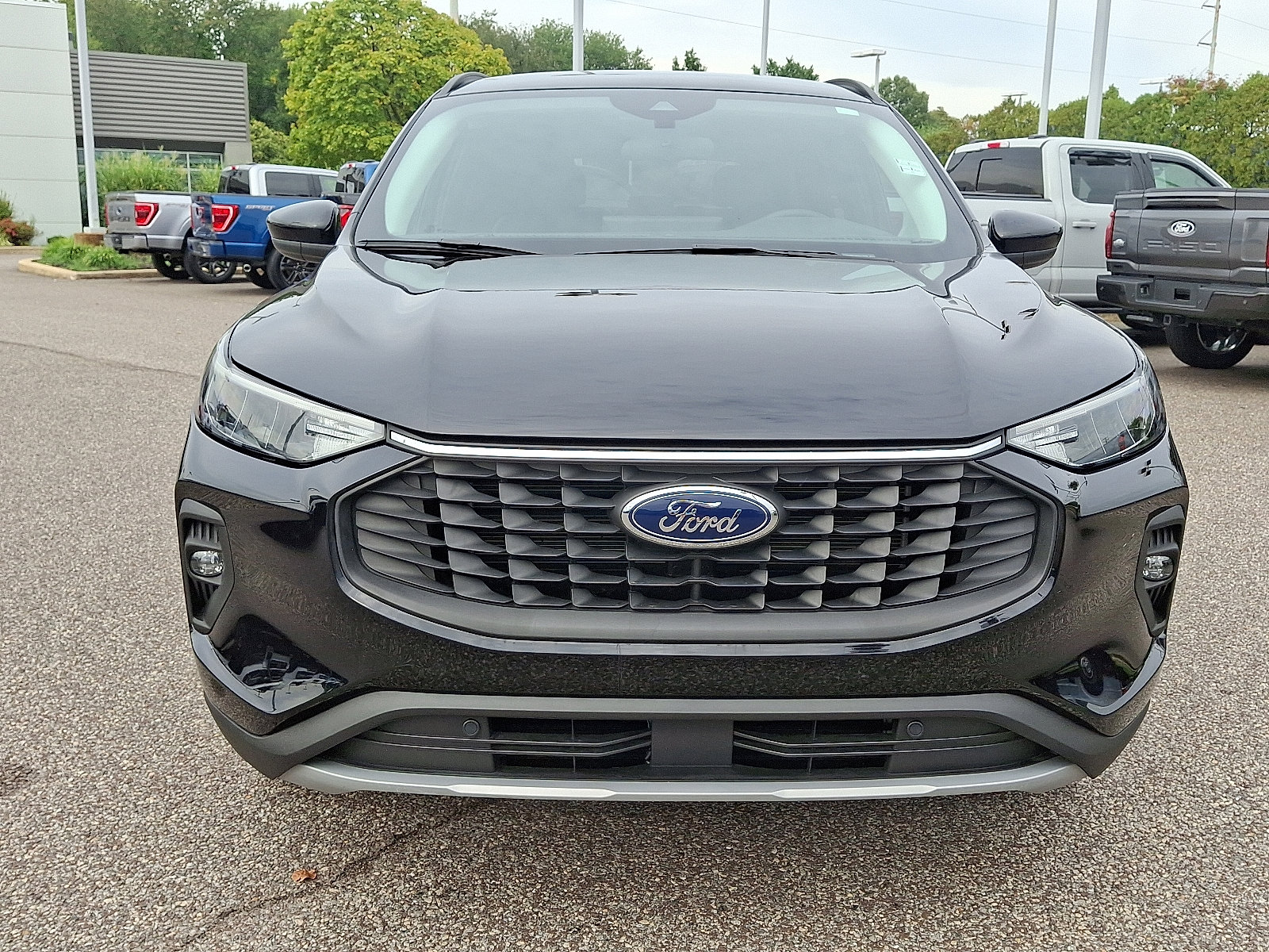 Certified 2024 Ford Escape SE image 3