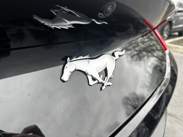 Certified 2025 Ford Mustang Premium image 40
