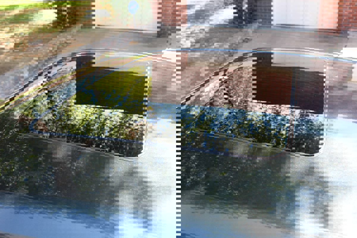 Used 2017 Chevrolet Camaro SS w/ 50th Anniversary Edition image 57