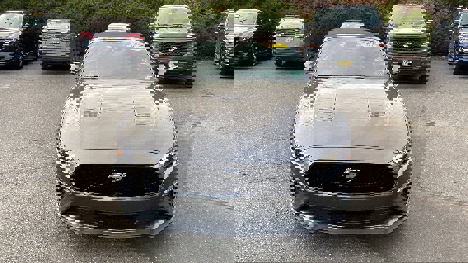 Used 2018 Ford Mustang GT Premium w/ Safe & Smart Package image 2