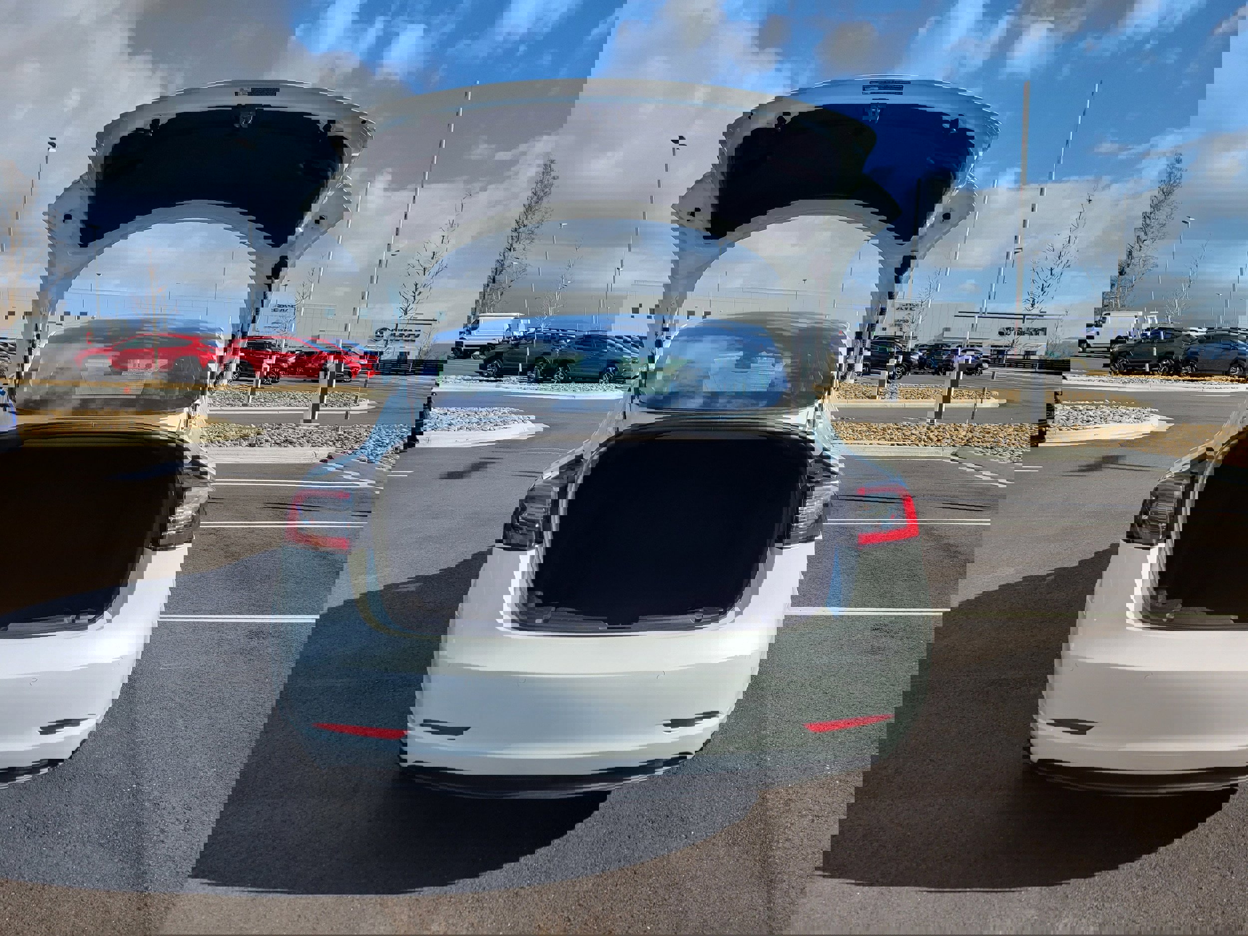 Used 2020 Tesla Model 3 Standard Range Plus image 11