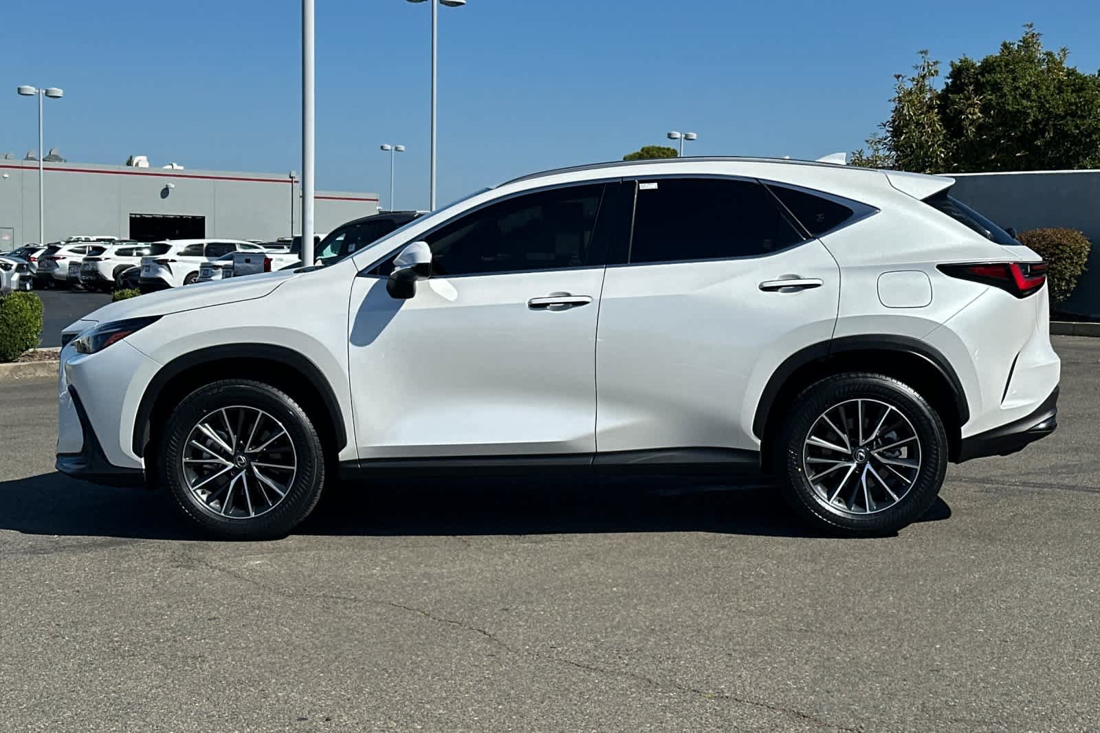 Used 2024 Lexus NX 250 AWD w/ Cold Area Package image 9
