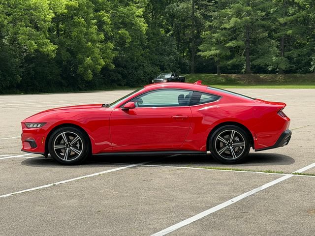 Used 2024 Ford Mustang Coupe RWD image 20