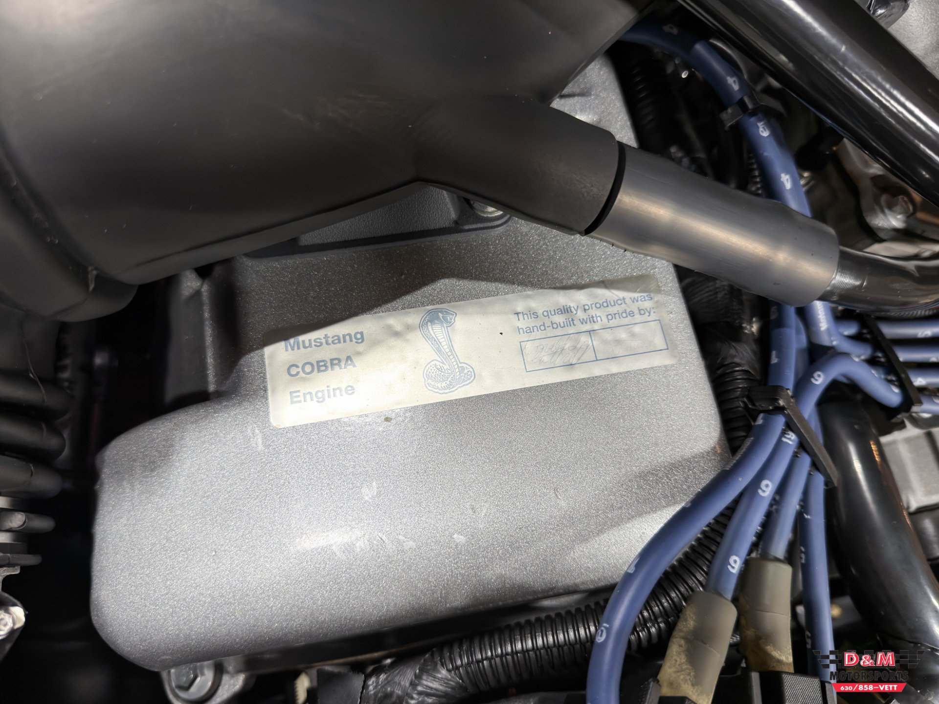 Used 1996 Ford Mustang Cobra RWD image 10